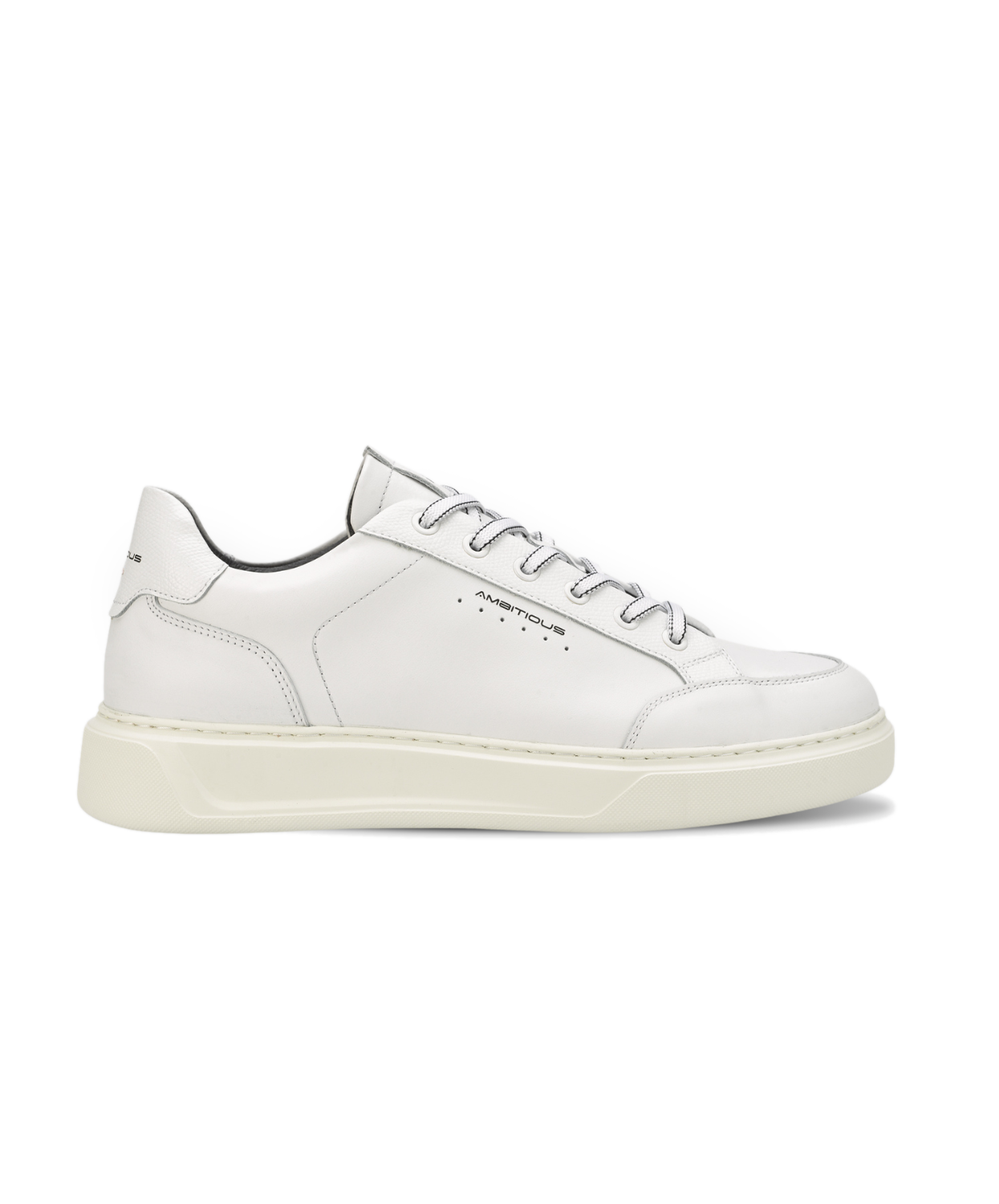 Ambitious Kit Low Top Mens Sneaker White